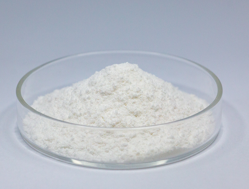 MONO-METHYL SUCCINATE